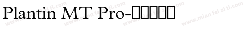 Plantin MT Pro字体转换